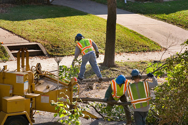 Best Landscape Design and Installation  in , FL